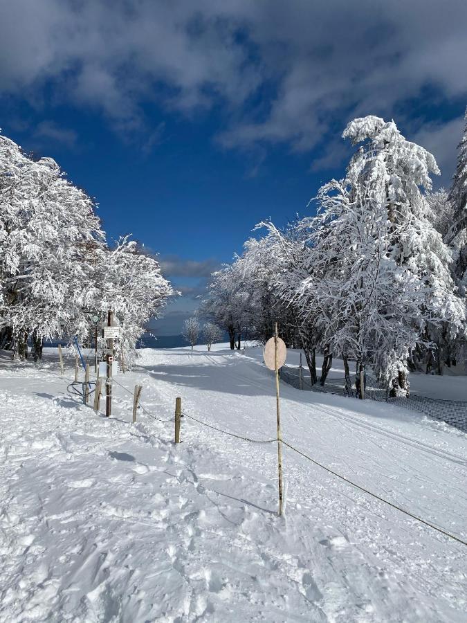 Les Reflets Du Hotel Gerardmer